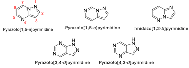 Graphical abstract: Advances in pyrazolo[1,5-a]pyrimidines: synthesis and their role as protein kinase inhibitors in cancer treatment