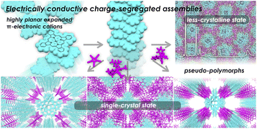 Graphical abstract: Electrically conductive charge-segregated pseudo-polymorphs comprising highly planar expanded π-electronic cations