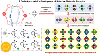Graphical abstract: Precise functionalization in nano-confinement: a bottom-up approach to the evolution of selective molecular receptors