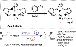Graphical abstract: Efficient and selective hydroboration of alkenes catalyzed by an air-stable (PPCF3P)CoI2 precatalyst