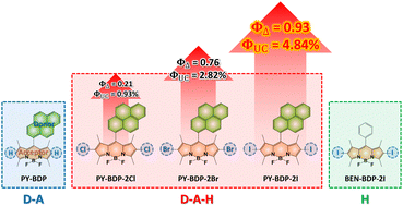 Graphical abstract: Photophysical properties and excited-state dynamics of donor–acceptor–heavy-atom molecules and their application in triplet–triplet annihilation upconversion