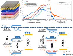 Graphical abstract: Enhancing the efficiency and stability of ZnSe pure blue quantum dot light-emitting diodes via ionic liquid doping