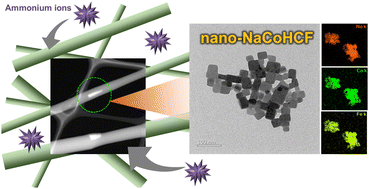 Graphical abstract: Effect of nanosizing on sodium cobalt(ii) hexacyanoferrate(ii) nanoparticles in nanofibers for enhanced ammonium adsorption capacity