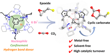 Graphical abstract: Conversion of CO2 into cyclic carbonates using an ionic porous organic cage