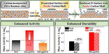 Graphical abstract: Surface-composition-driven patchy carbon shells unlock high activity and durability in PtCu oxygen reduction catalysts