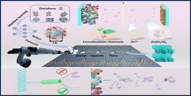 Graphical abstract: Machine learning-assisted benign transformation of three zinc states in zinc ion batteries