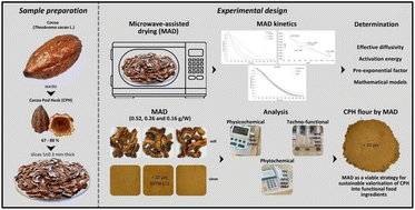 Graphical abstract: Microwave-assisted drying kinetics of cocoa pod husk (Theobroma cacao L.): physicochemical, techno-functional and phytochemical analysis