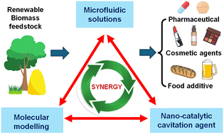 Graphical abstract: Sonochemistry and sonocatalysis: current progress, existing limitations, and future opportunities in green and sustainable chemistry