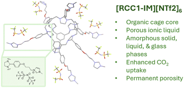 Graphical abstract: Construction of an organic cage-based porous ionic liquid using an aminal tying strategy