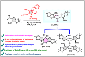 Graphical abstract: NHC-catalysed synthesis of hydroxy methylene-bridged formyl-di-xylofuranose: access to tetrakis and spiro tricyclic xylofuranose