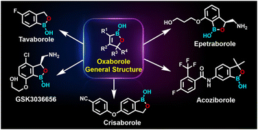 Graphical abstract: Recent advances in the synthesis and applications of oxaborole derivatives