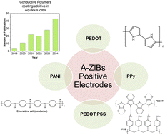 Graphical abstract: A comprehensive and critical review on the application of conductive polymers as coatings for aqueous zinc-ion battery positive electrode materials