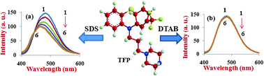 Graphical abstract: An investigation of binding ability of ionic surfactants with trifluoperazine dihydrochloride: insights from surface tension, electronic absorption and fluorescence measurements