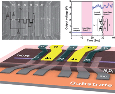 Graphical abstract: Long single ZnO nanowire for logic and memory circuits: NOT, NAND, NOR gate, and SRAM
