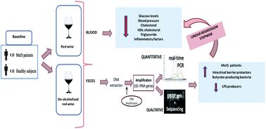 Graphical abstract: Red wine polyphenols modulate fecal microbiota and reduce markers of the metabolic syndrome in obese patients