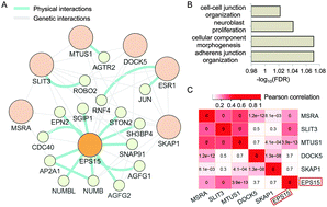 Graphical abstract: Over-expression of EPS15 is a favorable prognostic factor in breast cancer