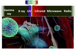 Graphical abstract: Nanogels as imaging agents for modalities spanning the electromagnetic spectrum