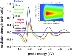 Graphical abstract: Exciton and charge carrier dynamics in few-layer WS2