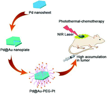 Graphical abstract: Platinum(iv) prodrug conjugated Pd@Au nanoplates for chemotherapy and photothermal therapy