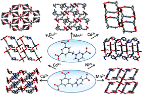 Graphical abstract: Design, structural diversity and properties of novel zwitterionic metal–organic frameworks