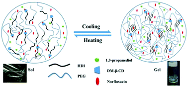 Graphical abstract: A thermo-responsive polyurethane organogel for norfloxacin delivery
