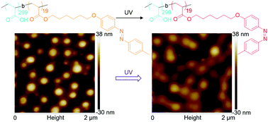 Graphical abstract: Photoresponsive nanostructures of azobenzene-containing block copolymers at solid surfaces