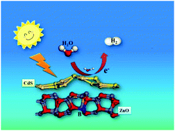 Graphical abstract: The doping of B in ZnO/CdS for enhanced visible-light H2 production