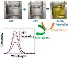 Graphical abstract: Formamidinium iodide for instantaneous and fluorescent detection of Pb2+ in water