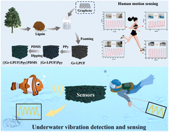 Graphical abstract: Lightweight, superhydrophobic, lignin-based polyurethane foam composites for underwater pressure sensing