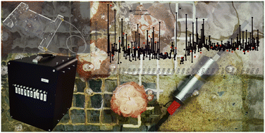 Graphical abstract: A high-sensitivity lab-on-a-chip analyzer for online monitoring of nitrite and nitrate in seawater based on liquid waveguide capillary cells