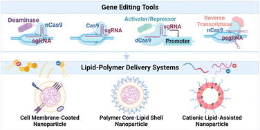 Graphical abstract: Emerging lipid–polymer hybrid nanoparticles for genome editing