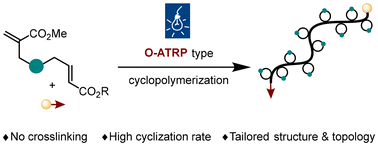 Graphical abstract: Organocatalyzed photoredox radical cyclopolymerization of methacrylate- and acrylamide-crotonate hybrid monomers