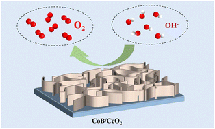 Graphical abstract: A moss-like CoB/CeO2 heterojunction as an efficient electrocatalyst for the oxygen evolution reaction under alkaline conditions