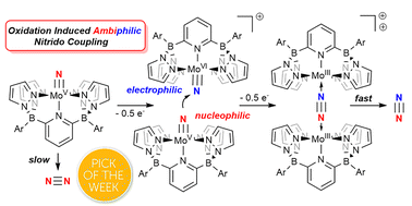 Graphical abstract: Oxidation-induced ambiphilicity triggers N–N bond formation and dinitrogen release in octahedral terminal molybdenum(v) nitrido complexes