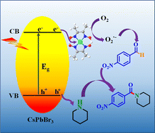 Graphical abstract: Deciphering charge transfer dynamics of a lead halide perovskite–nickel(ii) complex for visible light photoredox C–N coupling