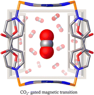 Graphical abstract: CO2-actuated spin transition tuning in an interdigitated Hofmann-type coordination polymer