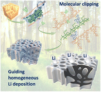Graphical abstract: Controllable reconstruction of lignified biomass with molecular scissors to form carbon frameworks for highly stable Li metal batteries