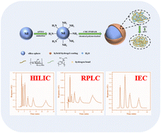Graphical abstract: Temperature-responsive interpenetrating network hydrogel coated silica used for multi-mode stationary phases
