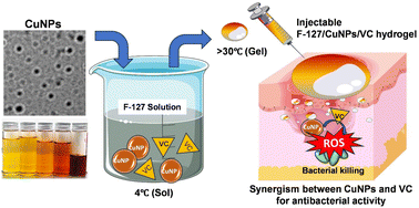Graphical abstract: Harnessing the synergy of copper nanoparticles and vitamin C towards the resolution of wound infection