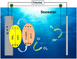 Graphical abstract: Co-MOF incorporated TiO2 nanorods for the photoelectrocatalytic decomposition of seawater aimed at hydrogen production and the concurrent synthesis of HClO