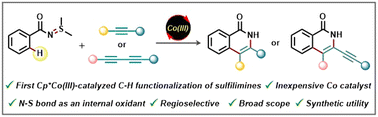 Graphical abstract: Harnessing sulfilimine as an oxidizing directing group in Cp*Co(iii)-catalyzed [4+2] annulation with alkynes and 1,3-diynes