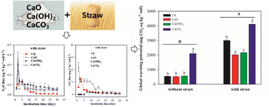Graphical abstract: Optimal lime materials for mitigating global warming potential with and without straw application in acidic upland soil