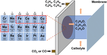Graphical abstract: Catalysts for selective CO2/CO electroreduction to C3+ compounds