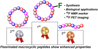 Graphical abstract: Fluorine-containing macrocyclic peptides and peptidomimetics