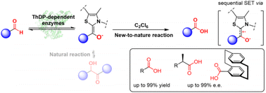 Graphical abstract: ThDP-dependent enzyme catalyzed oxidation of aldehydes