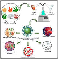 Graphical abstract: Phyco-synthesized inorganic nanoparticles and their biomedical applications