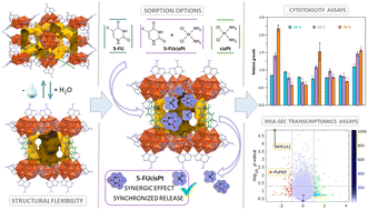 Graphical abstract: Exploring a flexible and cytotoxic drug carrier of cisplatin and 5-fluorouracil for a multitarget therapeutic approach in colorectal cancer