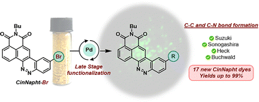 Graphical abstract: Synthesis of π-extended CinNapht fluorophores via late-stage Pd-catalyzed C–N and C–C bond formation and application for selective imaging of lipid droplets in living cells