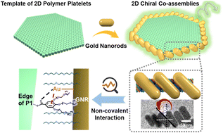 Graphical abstract: Edge-directed rapid chiral assembly of gold nanorods by 2D hexagonal nanosheets of helical poly(phenylacetylene)s and the synergistic communication of circularly polarized luminescence