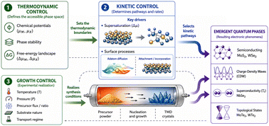 Graphical abstract: Controlling quantum materials by growth: thermodynamics, kinetics, and defect engineering in transition metal dichalcogenides